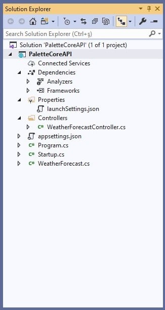 ASP.NET Core Web Application Project Structure